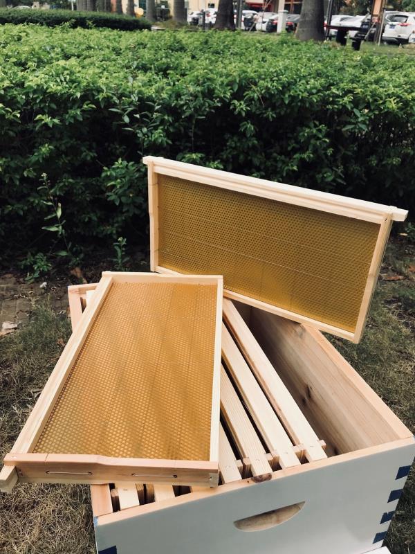 Beehive Frames with Wax Foundation 20 pcs
