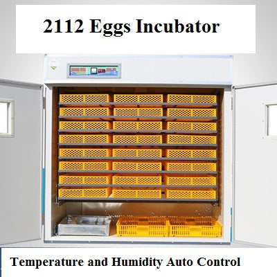 2112 Eggs Incubator Large Commercial Metal Poultry eggs Incubator - AUPK