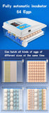 64 Eggs  Fully Automatic Farm Incubator Chicken Bird Quail Incubator Hatchery - AUPK