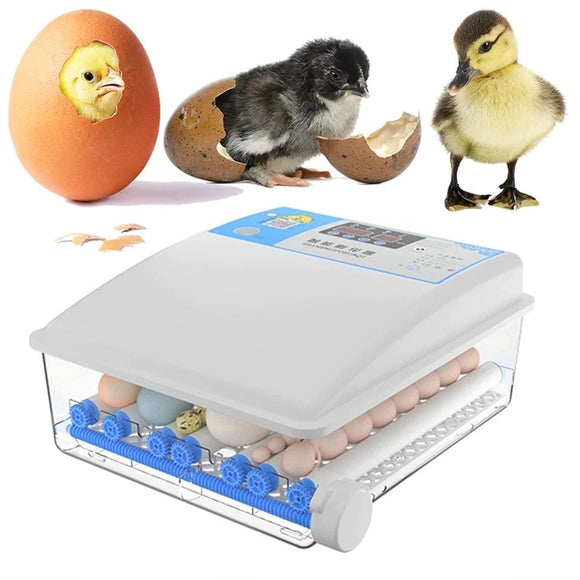 64 Eggs  Fully Automatic Farm Incubator Chicken Bird Quail Incubator Hatchery - AUPK