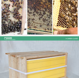 Beehive Frames with Wax Foundation 2 x10 pcs (Total 20 pcs) - AUPK