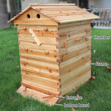 Beehive double box 20 frames space - AUPK