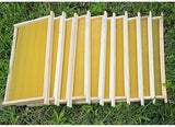 Beehive Frames with Wax Foundation 10 pcs - AUPK