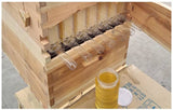 Wooden Beekeeping Beehive House +7PCS Upgraded Auto Honey Bee comb Hive Frame - AUPK